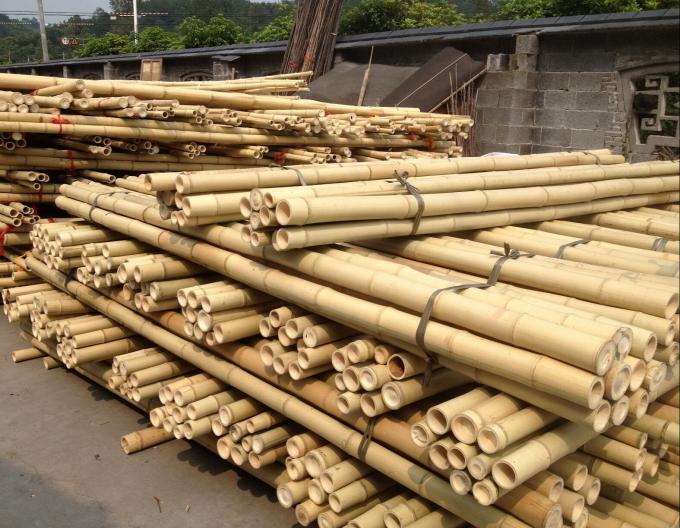 Precio al por mayor Moss natural Plant Pole Moss Stick para plantas de escalada Moss Poles de apoyo 0