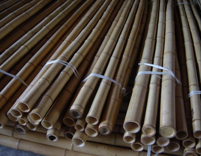 Precio al por mayor Moss natural Plant Pole Moss Stick para plantas de escalada Moss Poles de apoyo 3