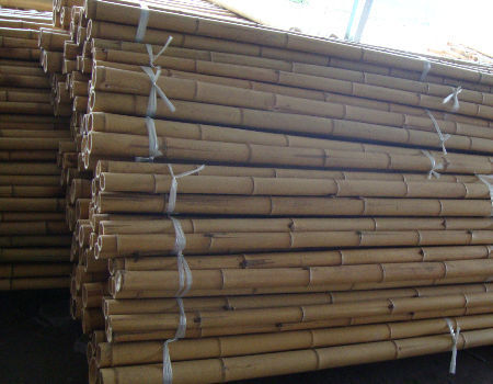 Precio al por mayor Moss natural Plant Pole Moss Stick para plantas de escalada Moss Poles de apoyo 2