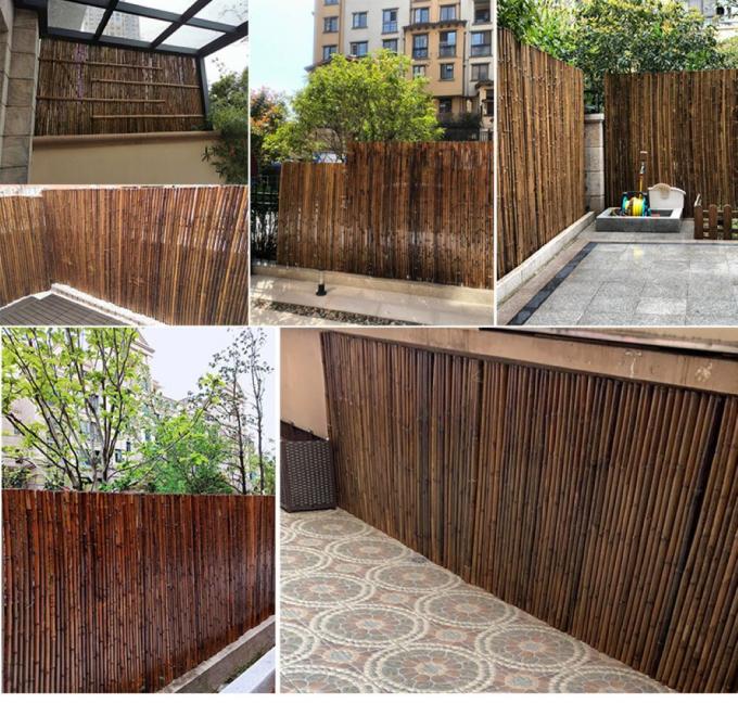 Cerca de bambú pintada material de bambú natural Privacy Garden Border de Panels Rolled Bamboo de la cerca 2
