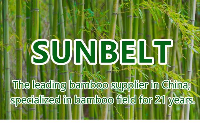 Support Your Garden's Growth with Elegant and Sustainable Bamboo Flower Sticks 0
