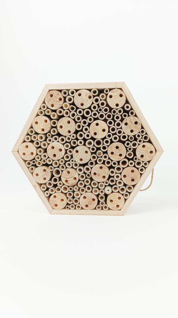 Insecto de madera Casa de abejas Caja colgante Hábitat de insectos para abejas Mariposa Mariposas beneficiosas 4