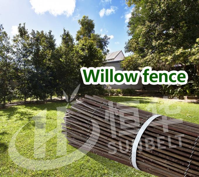 Ramas naturales de sauce para un telón de fondo perfecto y una solución de privacidad 0