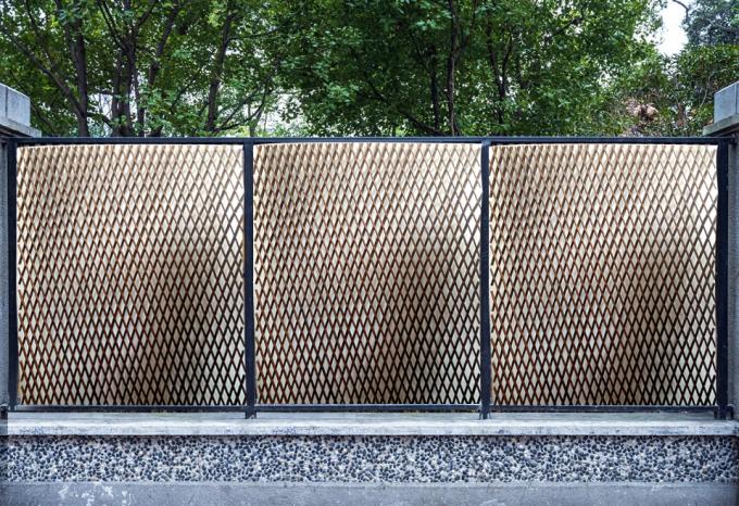 Ramas naturales de sauce para un telón de fondo perfecto y una solución de privacidad 2