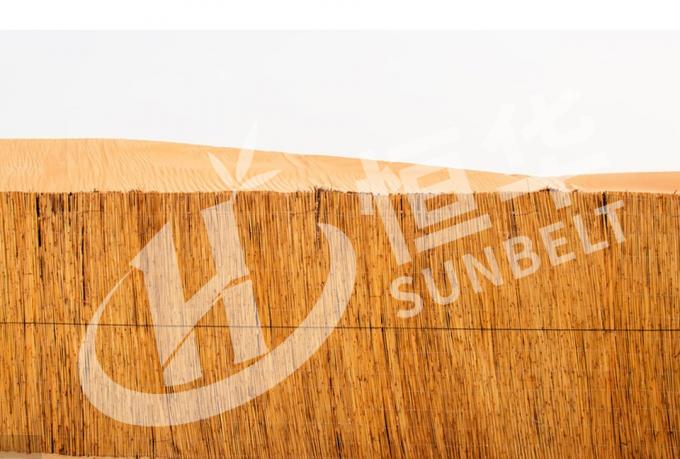 Una cerca de juncos una forma ecológica y versátil de añadir privacidad y sombra 4