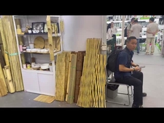 ¿Has visitado la exposición en la Feria de Cantón?