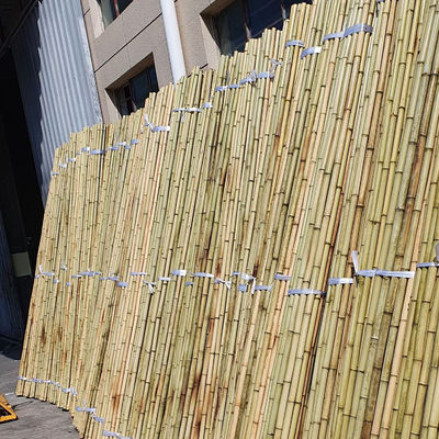 Tonkin Bamboo Cane 6mm-30mm Diameter for Plant Support