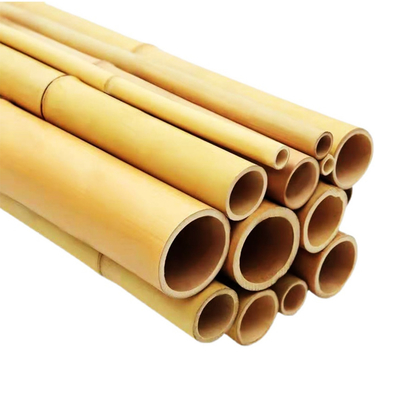 Poste de bambú crudo el 100% natural para los bastones de la construcción que cultivan un huerto y de la decoración/las participaciones de bambú de calidad superior