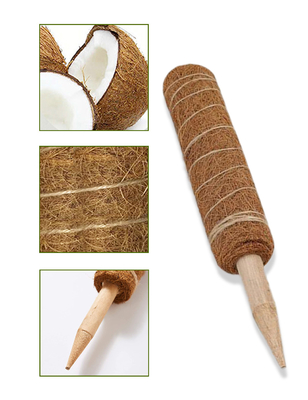 plantas de Moss Totem Pole Kit For del bonote de los 44cm que suben y que apoyan el coco poste de las plantas