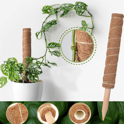 plantas de Moss Totem Pole Kit For del bonote de los 44cm que suben y que apoyan el coco poste de las plantas