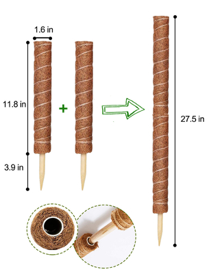 plantas de Moss Totem Pole Kit For del bonote de los 44cm que suben y que apoyan el coco poste de las plantas