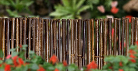 el 180cm los 240cm rodaron el cercado de bambú para el cuarto de niños de la frontera del jardín