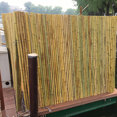 Pantalla de bambú rodada casera que cerca el revestimiento de madera de bambú decorativo del jardín del patio trasero
