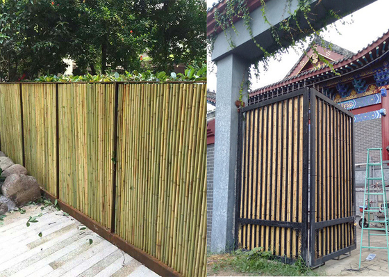 Pantalla de bambú rodada casera que cerca el revestimiento de madera de bambú decorativo del jardín del patio trasero
