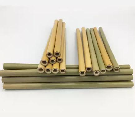 paja de bambú disponible del 19cm natural para la bebida Drinkings frío de los niños