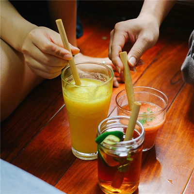 Paja reutilizable de bambú de la paja de bambú amistosa de Eco para la consumición del restaurante de la barra del café