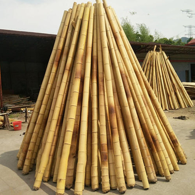Materia prima de bambú de la construcción