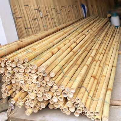 Participaciones de bambú naturales puras de poste del bambú de Moso de 3 pulgadas para el amarillo de la decoración de la planta