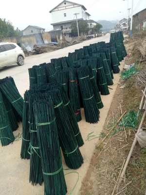 participaciones de bambú decorativas negras rojas del jardín postes del verde de bambú crudo de la pintura del 150cm