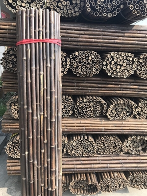 el 120cm poste de bambú crudo