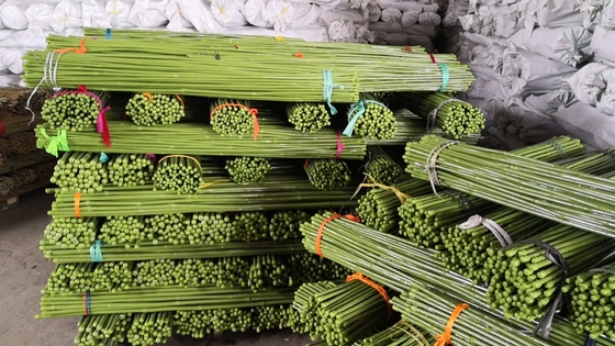verde postes de bambú de la longitud de los 40cm los 60cm los 90cm el 120cm que pintan verde