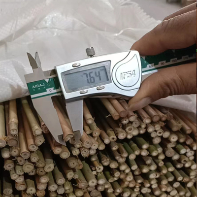 Palillo de bambú de bambú crudo del 100% postes postes diámetro de los 0.004m a de los 0.014m