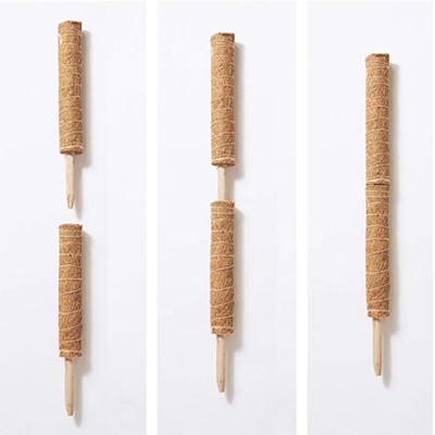 15,7 pulgadas de la planta de postes del coco de polos coloreados naturales Moss Pole del bonote para las plantas que suben y que apoyan