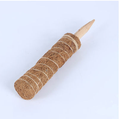 Tutor de musgo para plantas trepadoras 30cm 40cm 60cm 90cm Estaca de soporte de tótem de fibra de coco natural