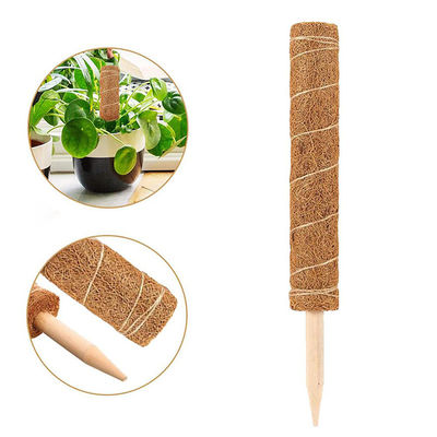 Tutor de musgo para plantas trepadoras 30cm 40cm 60cm 90cm Estaca de soporte de tótem de fibra de coco natural