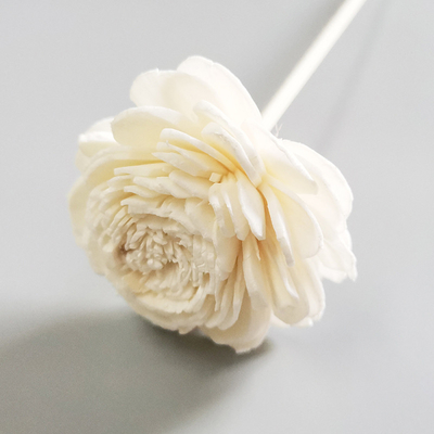 Reed Diffuse Dried Sola Flower preservado fragancia casera Reed Diffuser con la mecha del algodón