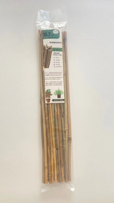 Los 60cm rectos secos hasta el color natural de bambú grande de los 595cm postes