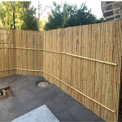 Pantalla de bambú rodada casera que cerca el revestimiento de madera de bambú decorativo del jardín del patio trasero