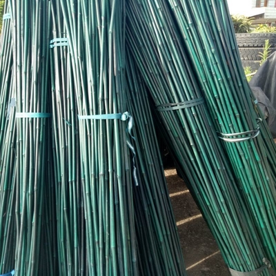 los 20cm pintaron la decoración verde de Roces de las participaciones de bambú crudas de postes
