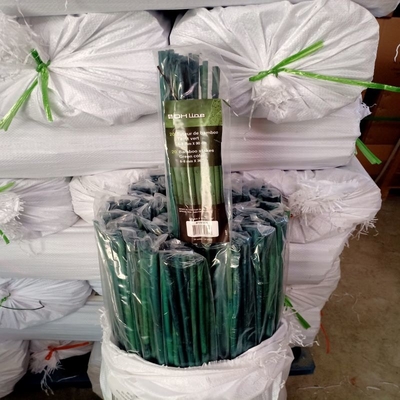 los 20cm pintaron la decoración verde de Roces de las participaciones de bambú crudas de postes