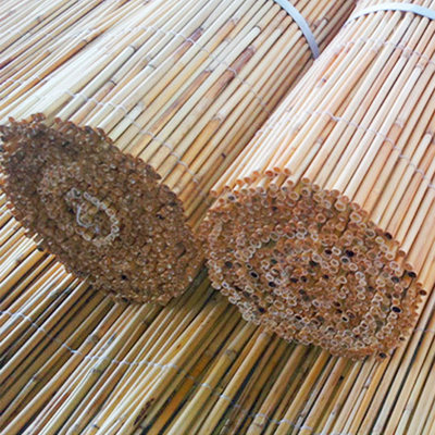 Rodillo natural amistoso de los paneles de Eco de la cerca de lámina rodada decorativa ligera para la yarda