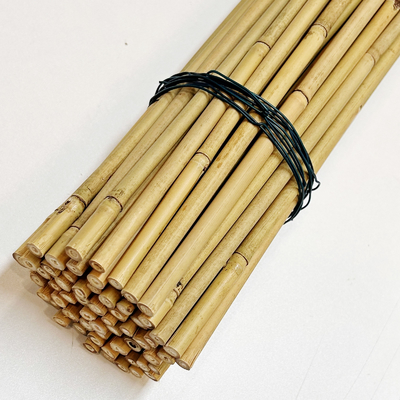 El bambú de bambú natural modificado para requisitos particulares de la materia prima estaca el diámetro de la longitud 6m m de los 40cm los 60cm los 90cm