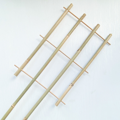 El bambú de la materia prima del 100% estaca los 6m que los aros de la forma de U Handcrafted la flor de la ayuda del enrejado