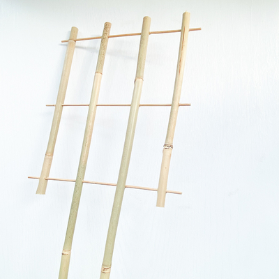 El bambú de la materia prima del 100% estaca los 6m que los aros de la forma de U Handcrafted la flor de la ayuda del enrejado