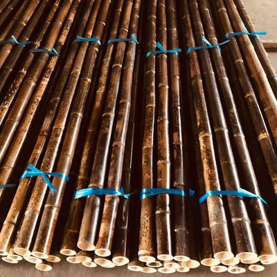 los 4cm hasta los 20cm Tonkin postes de bambú crudos carbonizaron rojo verde negro modificado para requisitos particulares