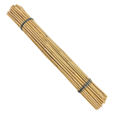 Longitud cruda decorativa amistosa de postes Dia.0.8cm x el 100cm del bambú de Eco