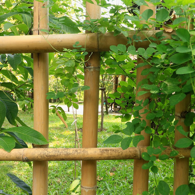 Participaciones de bambú tratadas secadas de los bastones de postes de los palillos que cultivan un huerto el 16cm para la construcción