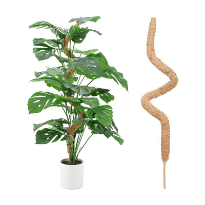 plantas de Moss Totem Pole Kit For del bonote de los 44cm que suben y que apoyan el coco poste de las plantas