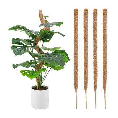 plantas de Moss Totem Pole Kit For del bonote de los 44cm que suben y que apoyan el coco poste de las plantas