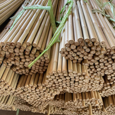 Participaciones de bambú naturales de la ayuda de la planta para las plantas interiores, participación de bambú los 40cm de los palillos del jardín de bambú de postes los 595cm