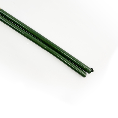 verde postes de bambú de la longitud de los 40cm los 60cm los 90cm el 120cm que pintan verde
