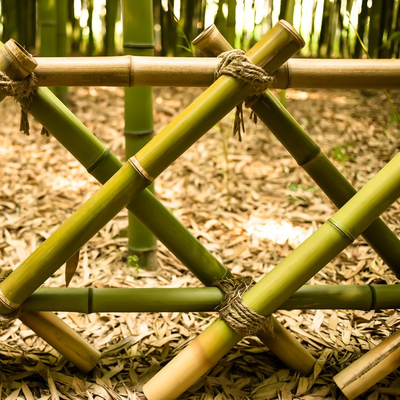 Los 100% Moso durable fuerte natural poste de bambú modifican longitud para requisitos particulares