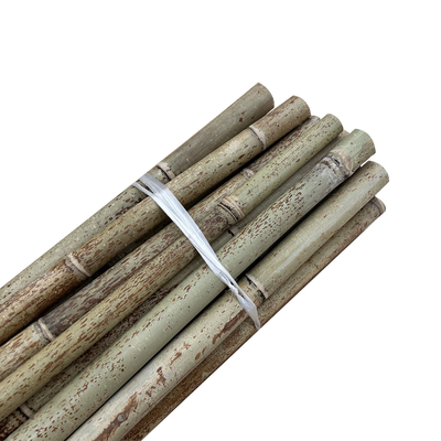 Bambú recto de bambú crudo postes de la naturaleza para el edificio de ayuda de la planta de la granja del jardín