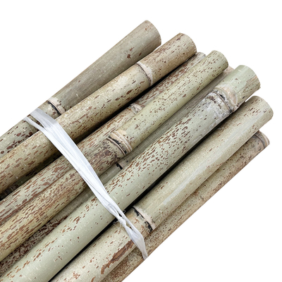 Bambú recto de bambú crudo postes de la naturaleza para el edificio de ayuda de la planta de la granja del jardín