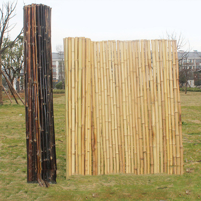 Casa verde de la cerca de Screen Fencing For del jardín de bambú decorativo ahumado del cuarto de niños