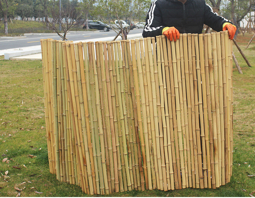 La frontera amistosa del jardín de Eco cerca la cerca los 240cm de bambú Panels Garden Border del 180cm